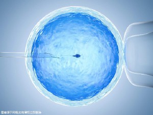 关于青碧生殖